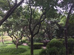 -黄埔荔枝公园