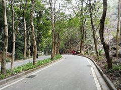 -火炉山森林公园