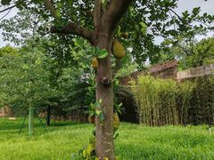 -水濂山森林公园