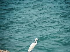 -青澳湾北回归线广场