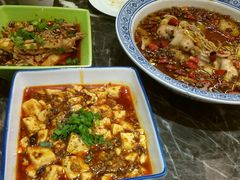 2013-01-13-461-川人百味(金安中央大街店)