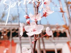 -北京艺术博物馆(万寿寺)