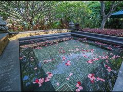 -厦门日月谷温泉渡假村