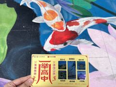 -东北大学附属辽宁爱尔眼科医院