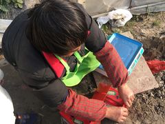 -小鱼草莓采摘园农家乐·小鱼餐厅