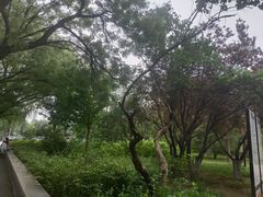 -元大都城垣遗址公园