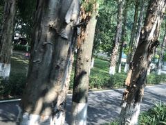 -广州市干部健康管理中心