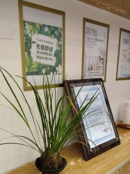 -慈蕊美容养生·专业经络调理