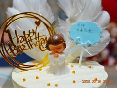 -维尔纳斯·生日蛋糕动物奶油冰淇淋蛋糕(人大店)