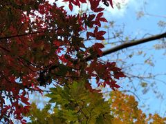 -丹东天桥沟景区