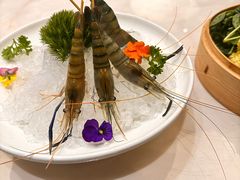-张博士茗茶馆(外滩店)