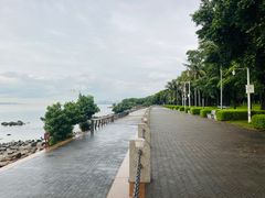-深圳湾公园(南山区)