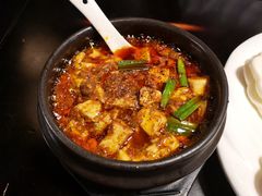 金牌麻辣豆腐-陈麻婆豆腐总店