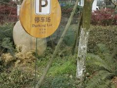 -桤木河湿地公园