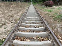 -永定河休闲森林公园