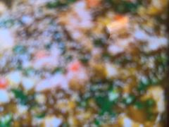 -写庭·鱼鲜川菜·宴请(铁像寺水街店)