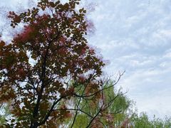 -西安汉城湖景区