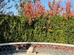 -大连金石滩绿发温泉假日酒店