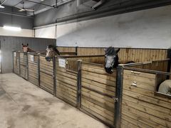 -李振强马术运动推广中心(南城店)