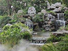 -东莞植物园