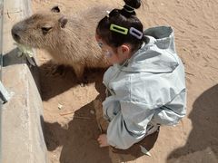 -西霞口神雕山野生动物世界