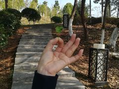 -宜春禅都文化博览园