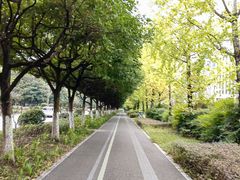 -龙头寺公园