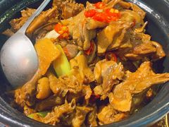 姜辣鸽王煲-小金鬼·煎饺·鸽子汤