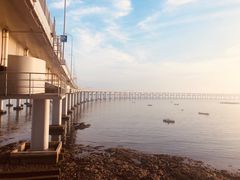-星海湾跨海大桥