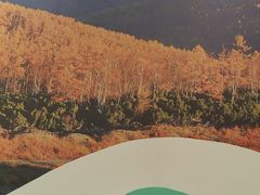 -东北风(江北万达店)