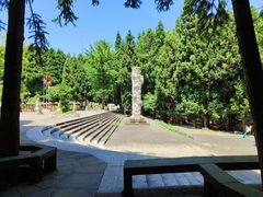 -武陵山森林公园