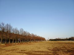 -上海长兴岛郊野公园