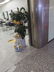 -ON STAR SALON