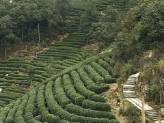 -午潮山国家森林公园