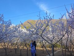 -北京十三陵国家森林公园蟒山景区
