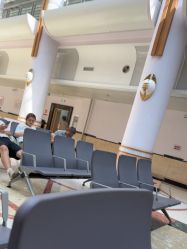 -上海交通大学医学院附属上海儿童医学中心(陆家嘴总院区)