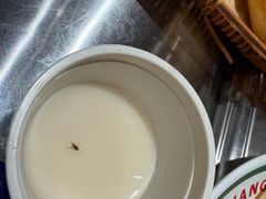 -楼上大排档·顺德菜·粥水·鱼生(苗栗路店)