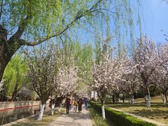 -元大都城垣遗址公园