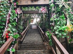 -西双版纳原始森林公园