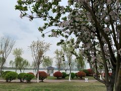 -九里湖国家湿地公园