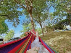 -羊亭河湿地公园