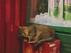 -洪齐林老镇