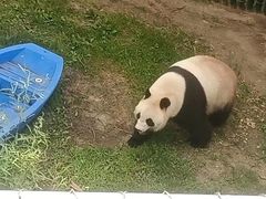 -沈阳森林动物园