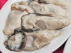 -花苑美食横琴生蚝火锅(拱北粤华路店)