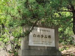 -白水寺森林公园