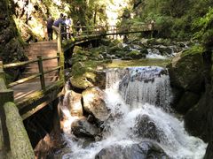 -牛背梁国家森林公园