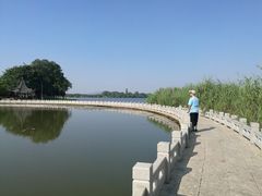 -松山湖梦幻百花洲