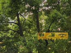 -小巨场咖啡
