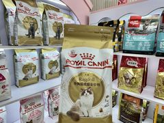 -青奢宠物·青奢猫舍