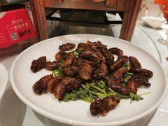 -杨氏青龙虾·羊蝎子(金盛路总店)